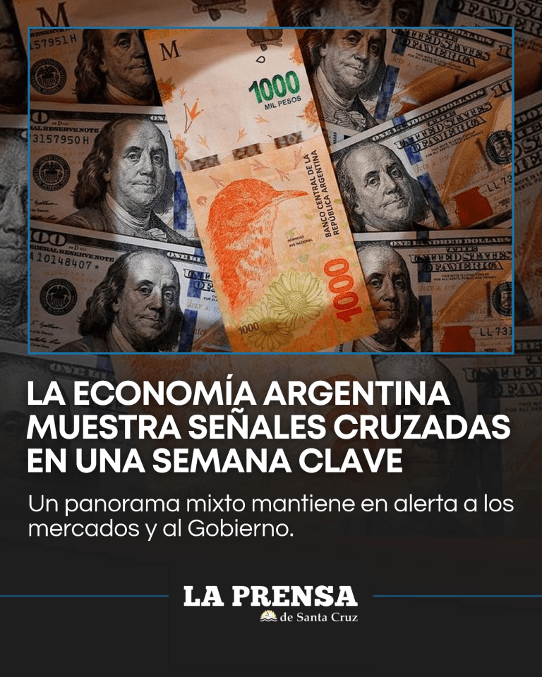 imagen_2025-12-03_134750395