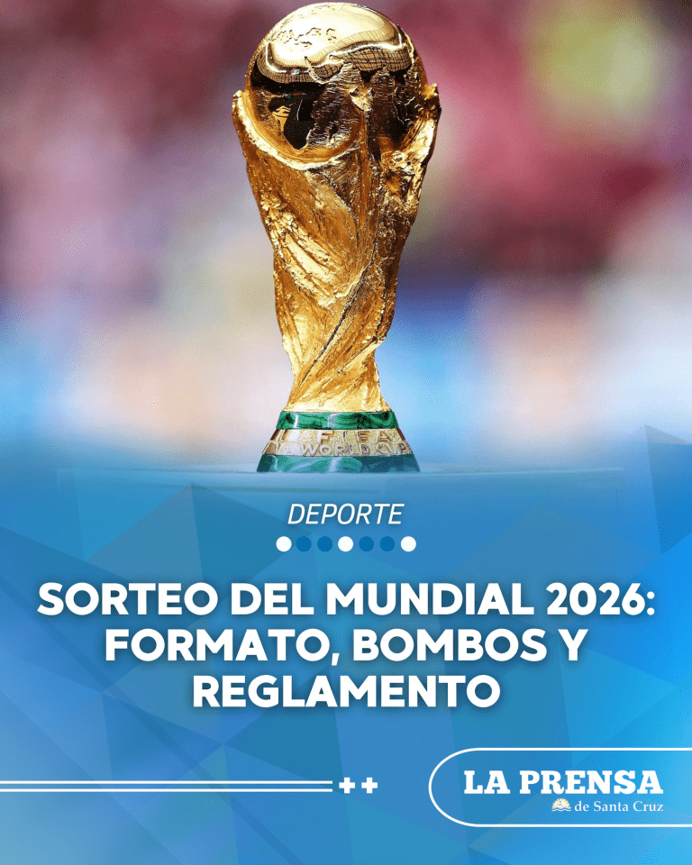 imagen_2025-12-03_200652542