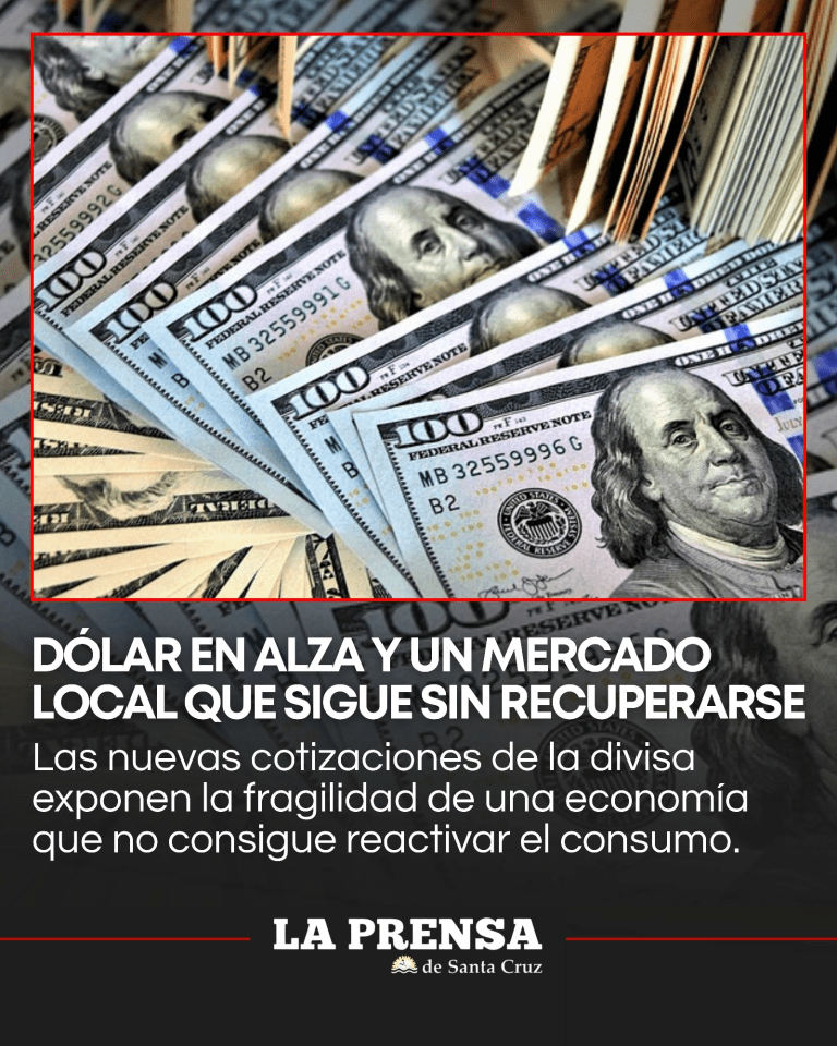 imagen_2025-12-04_112459291