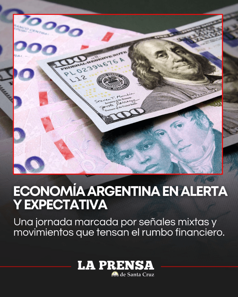 imagen_2025-12-08_113216560