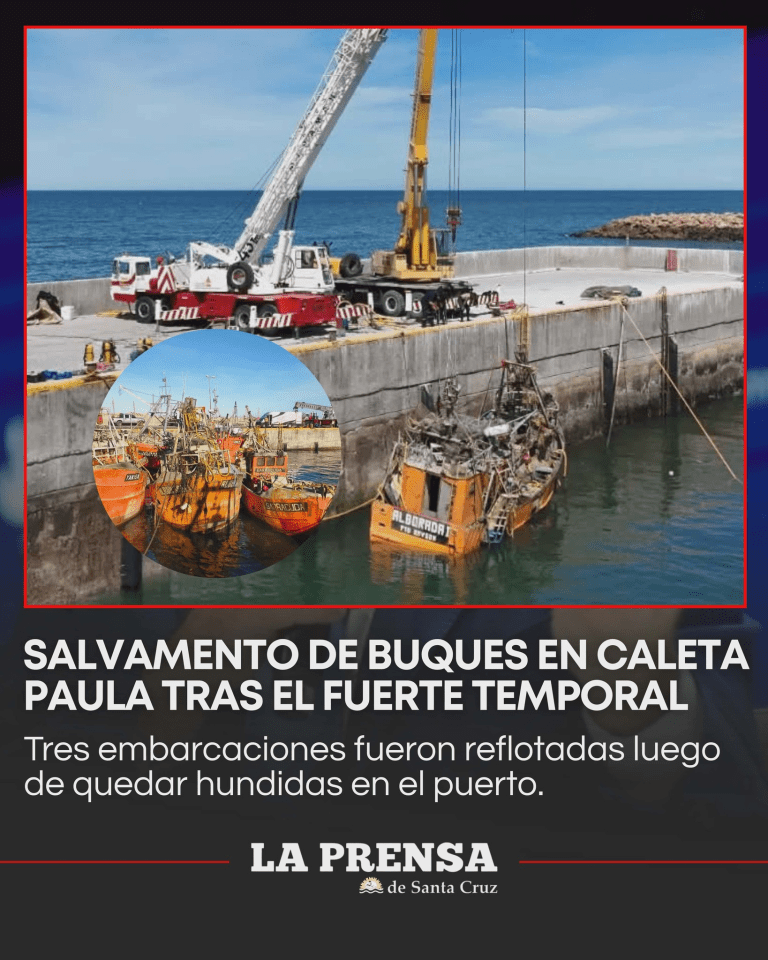 imagen_2025-12-09_122923703