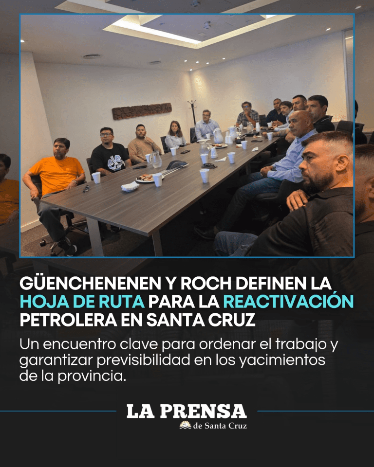 imagen_2025-12-10_222527208