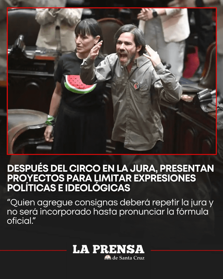 imagen_2025-12-11_084714611