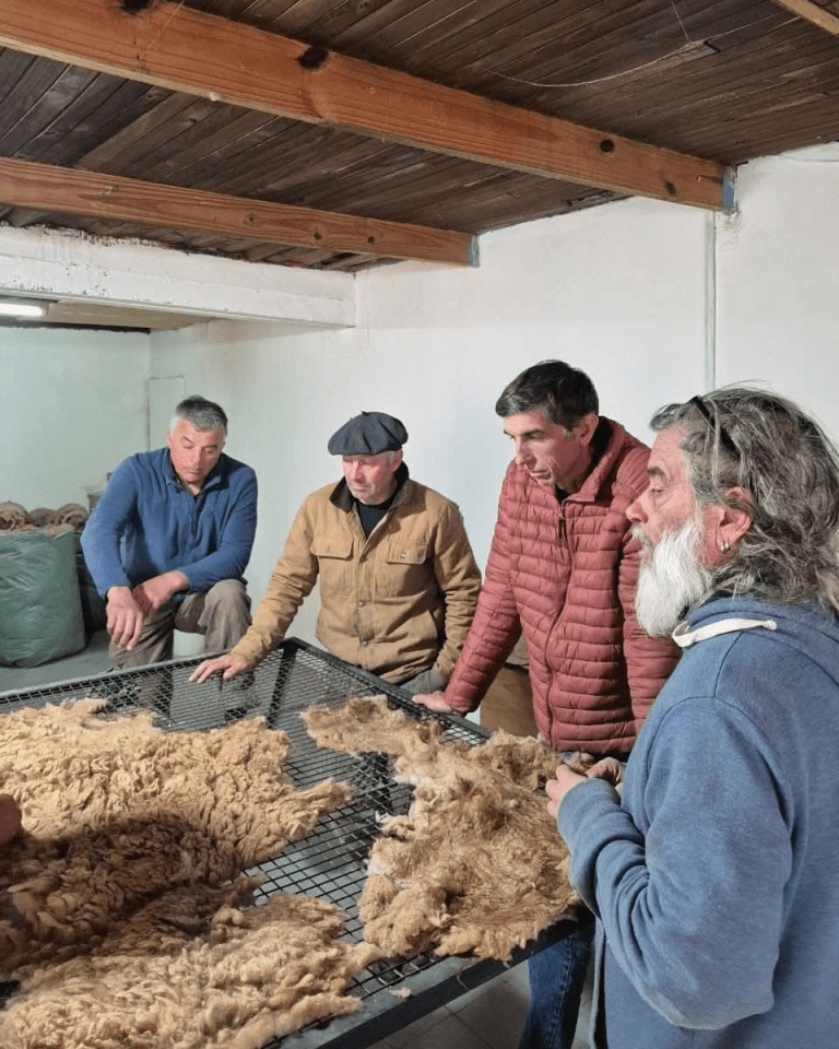 imagen_2025-12-11_121344386