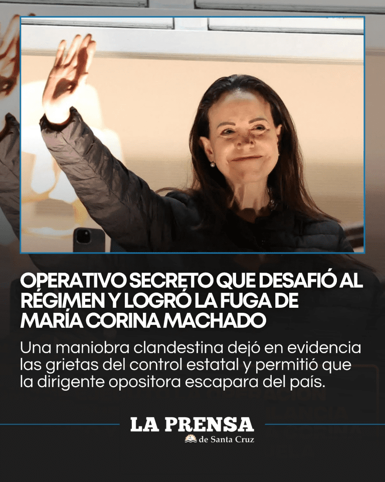 imagen_2025-12-12_084208851