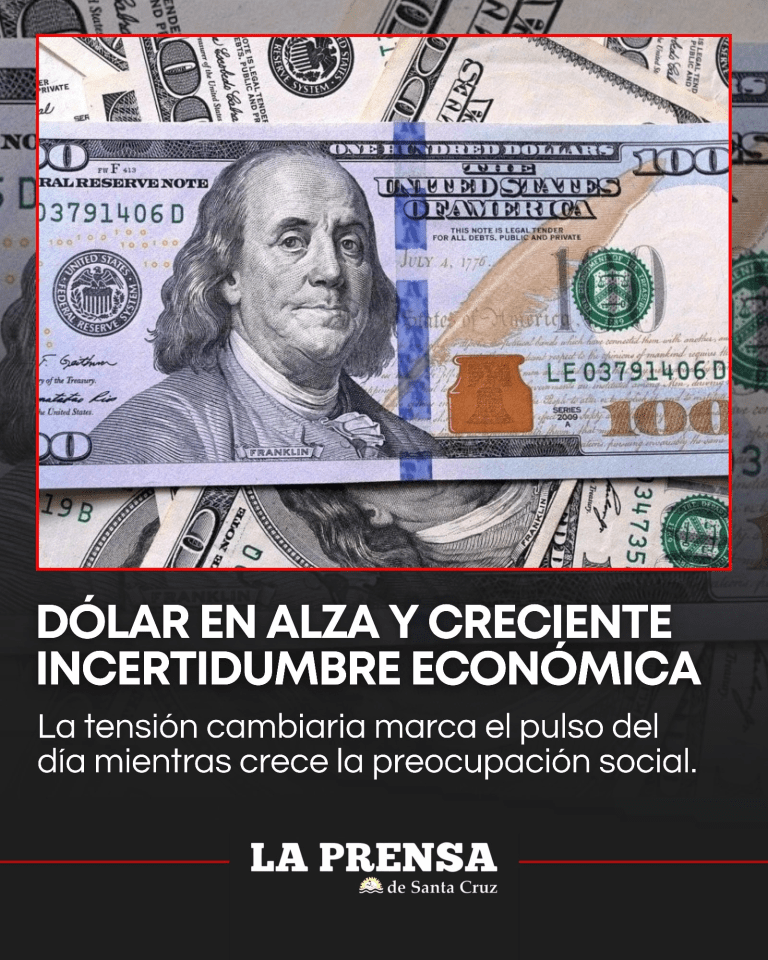 imagen_2025-12-12_123830213