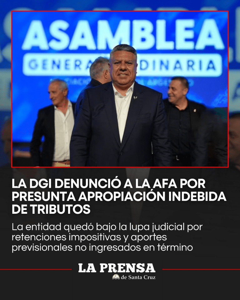 imagen_2025-12-13_113218662