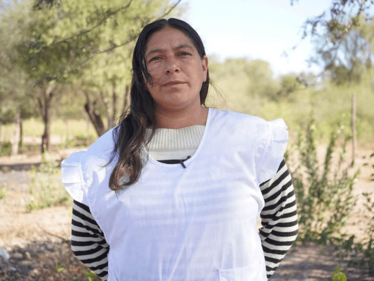 imagen_2025-12-15_080817054