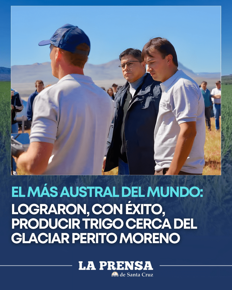 imagen_2025-12-15_125811137