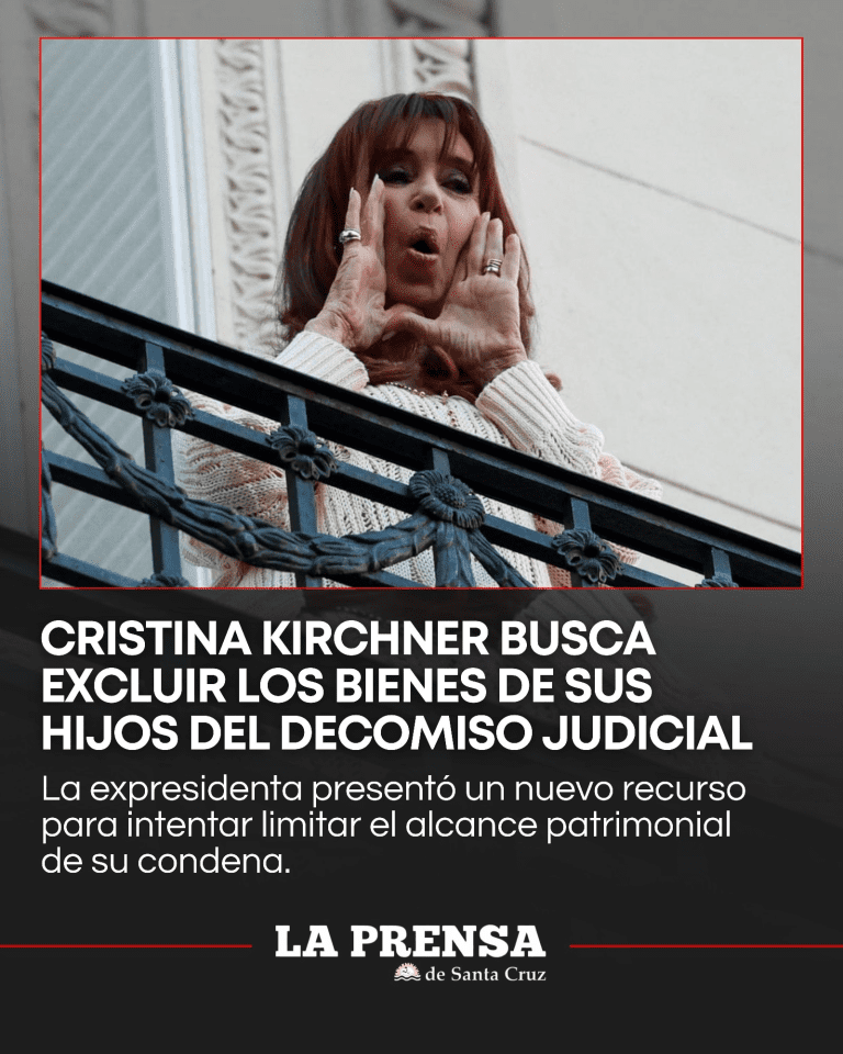 imagen_2025-12-15_220445796