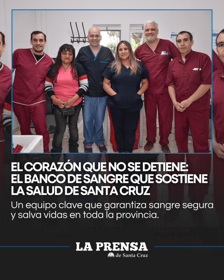 imagen_2025-12-22_105212164