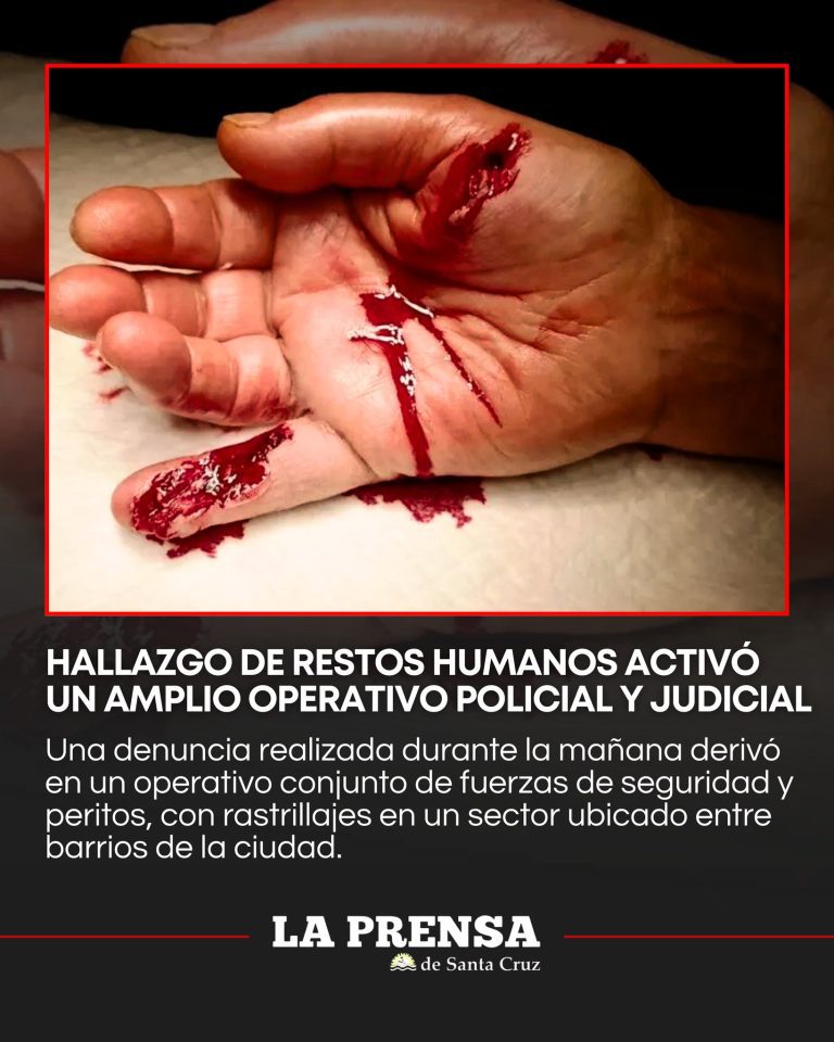 619424161_1467346162061197_2226583126176635117_n