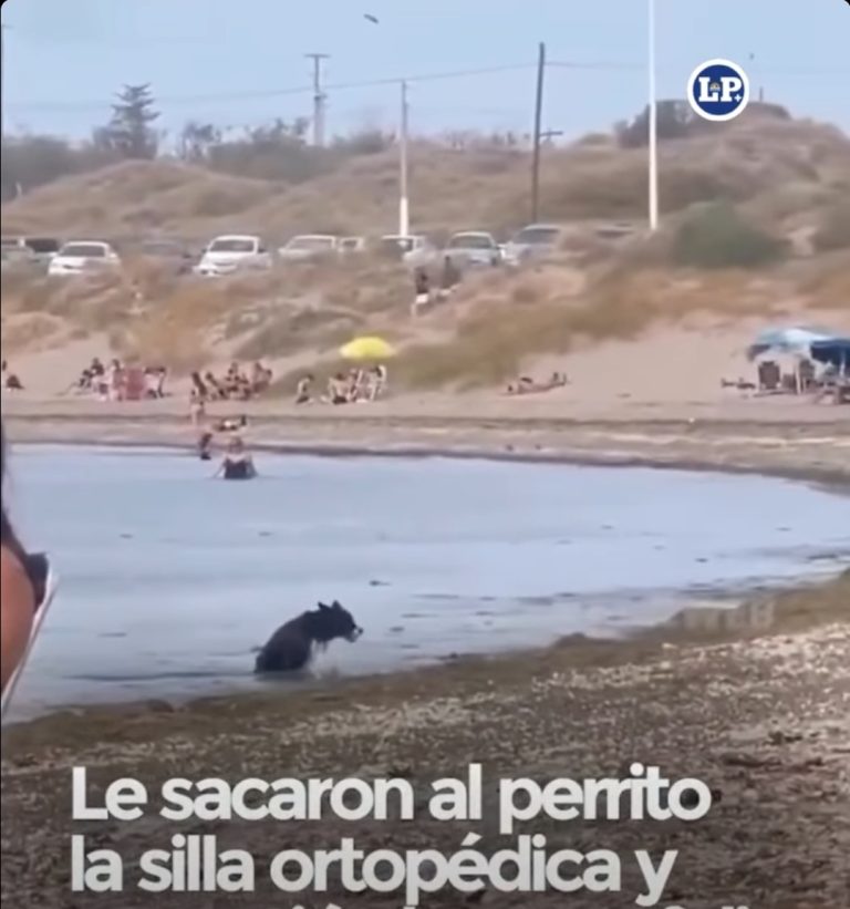 Screenshot_20260204_112704_Chrome