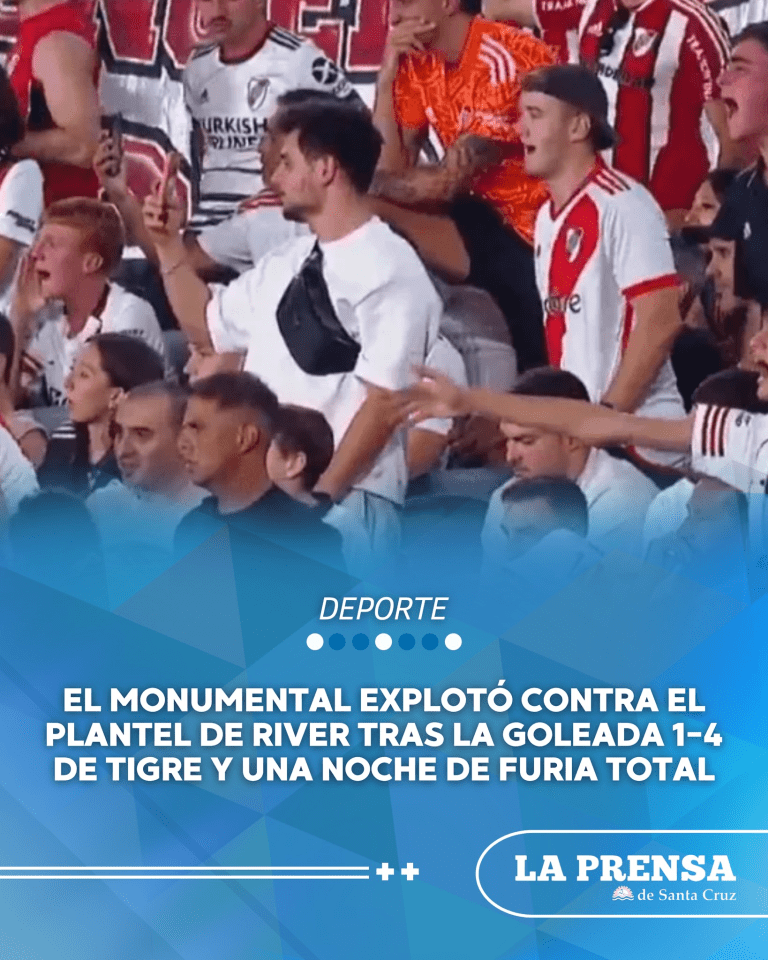 imagen_2026-02-08_192541443