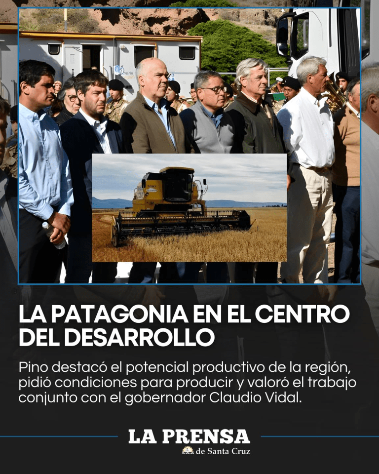 imagen_2026-02-10_211903864