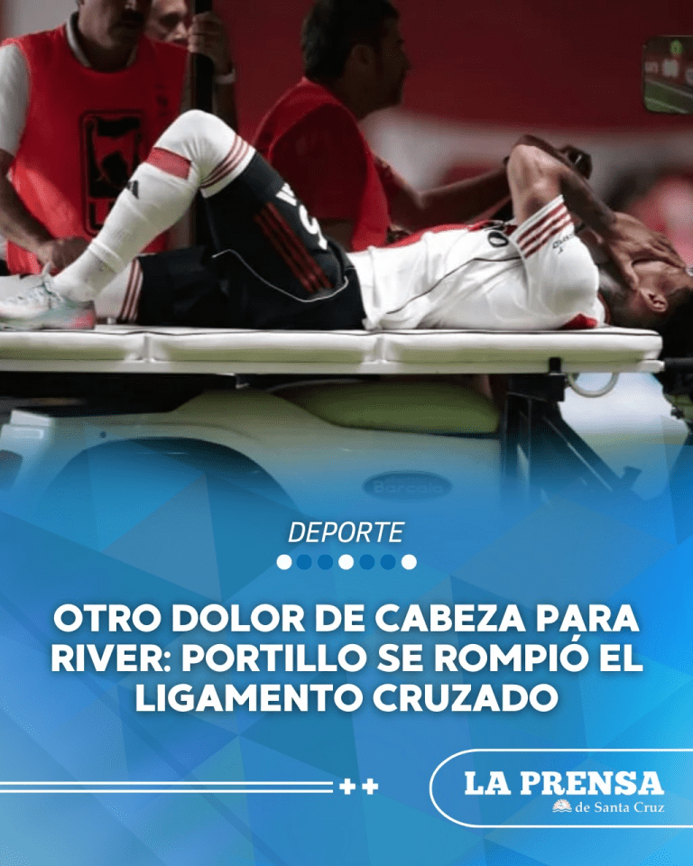 imagen_2026-02-13_212634234