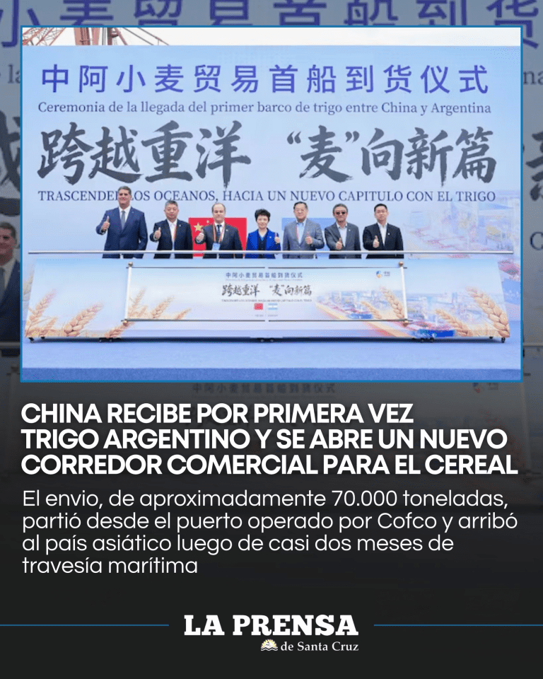 imagen_2026-02-16_215743111