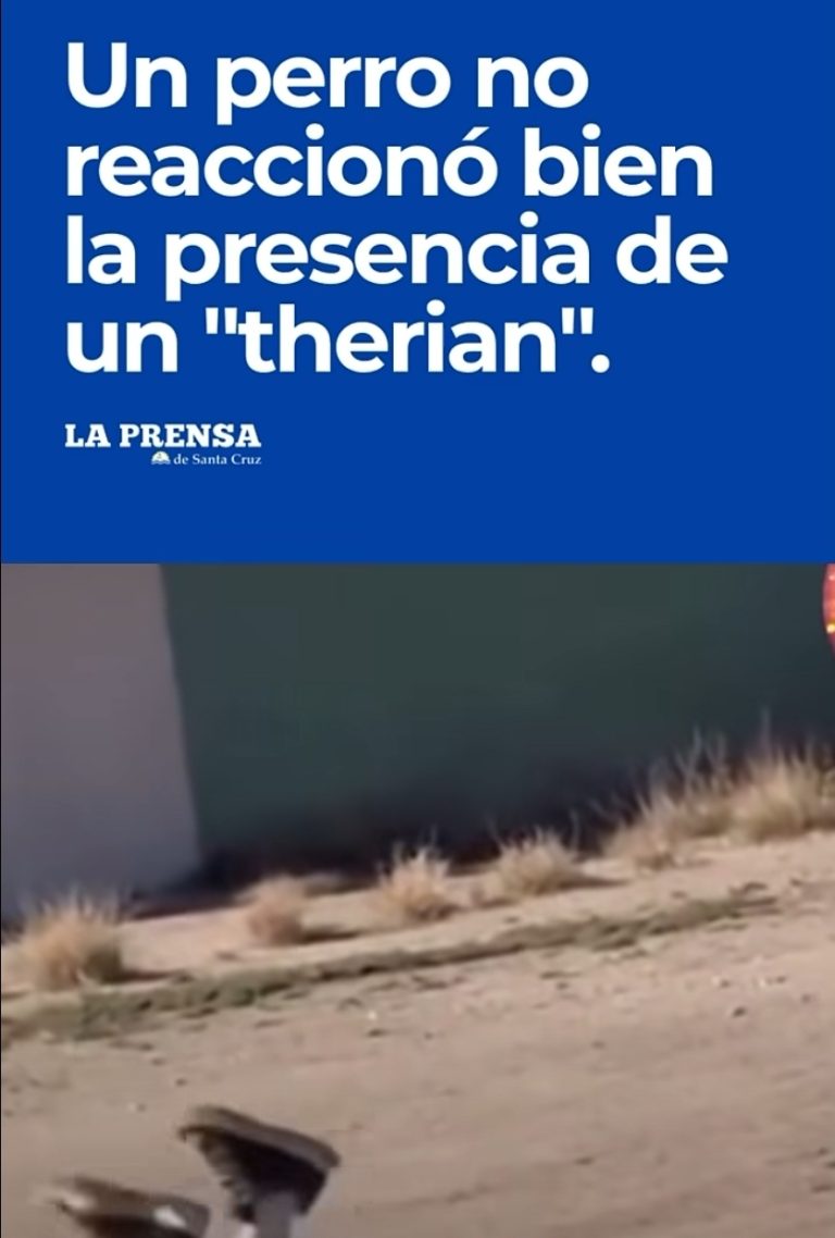 Screenshot_20260322_123101_Chrome