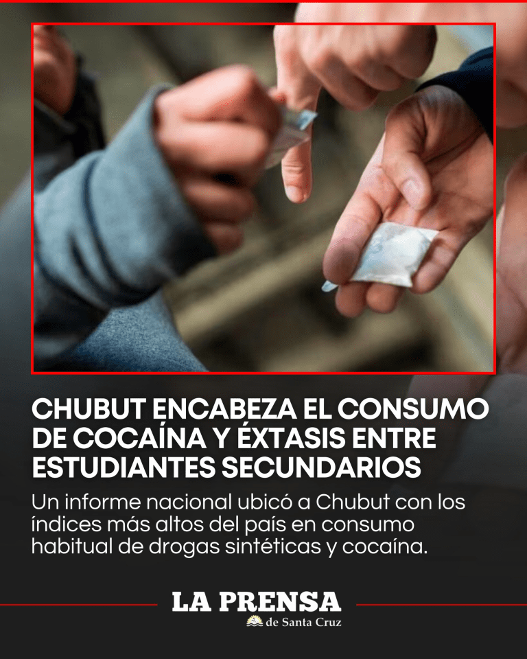 imagen_2026-03-01_213125882