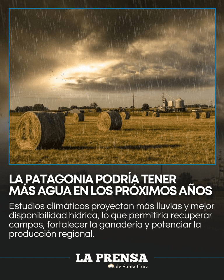 imagen_2026-03-01_234611196