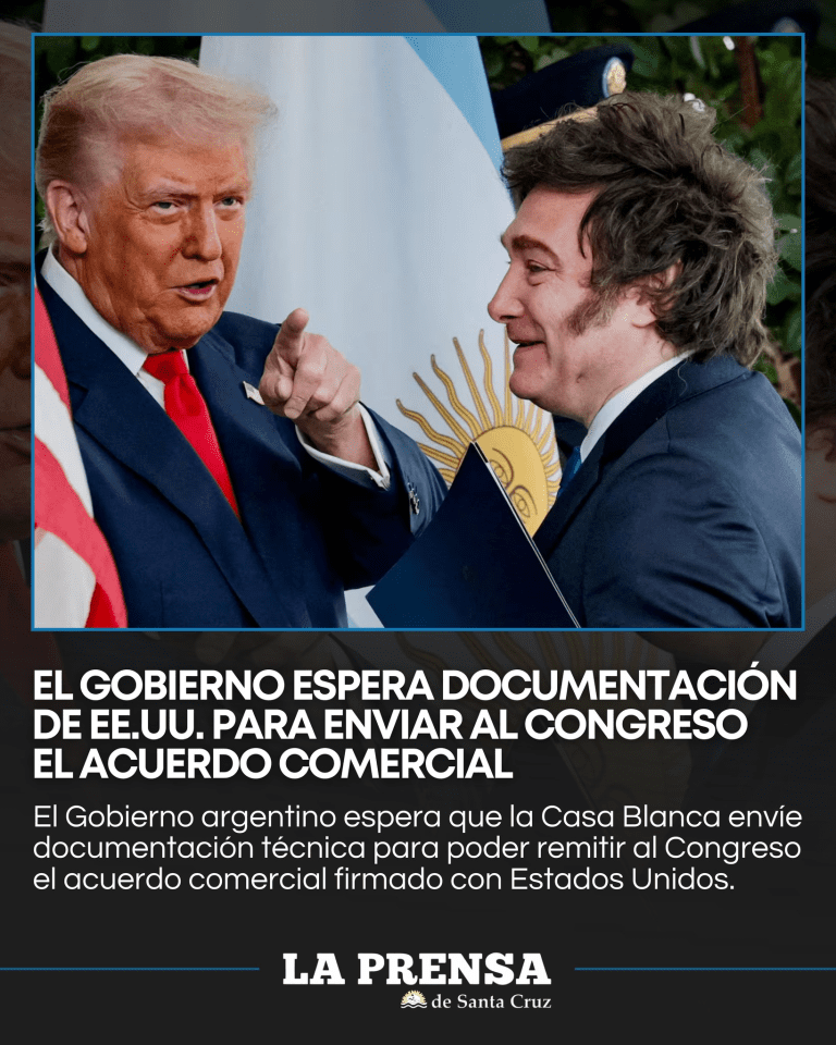 imagen_2026-03-12_221559933