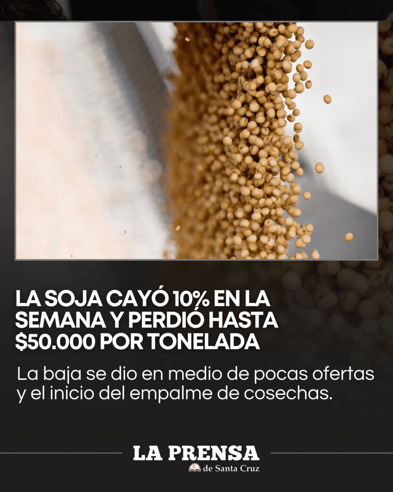 imagen_2026-03-28_110239237