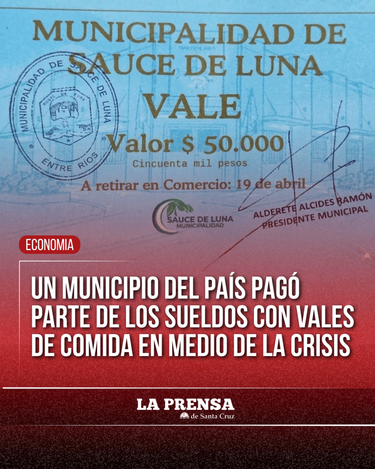 imagen_2026-04-14_173411148