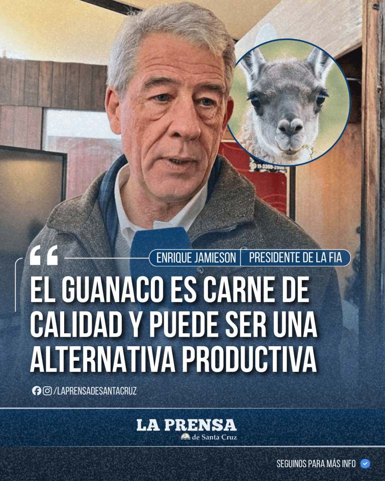 imagen_2026-04-20_205306357